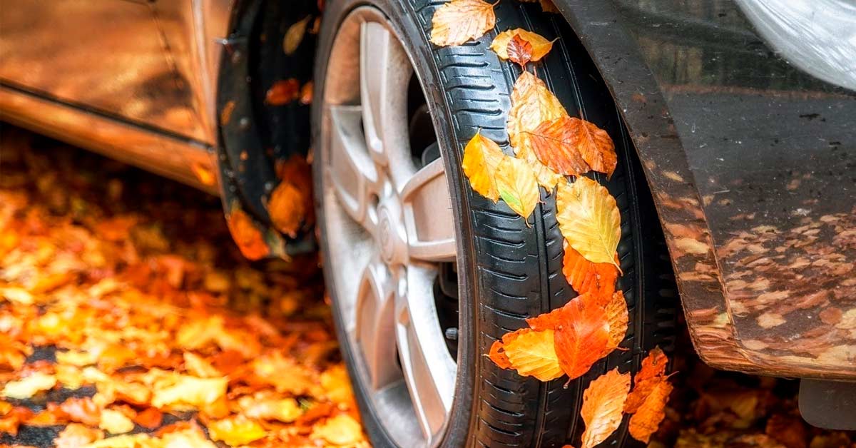 revisar neum&aacute;ticos en oto&ntilde;o